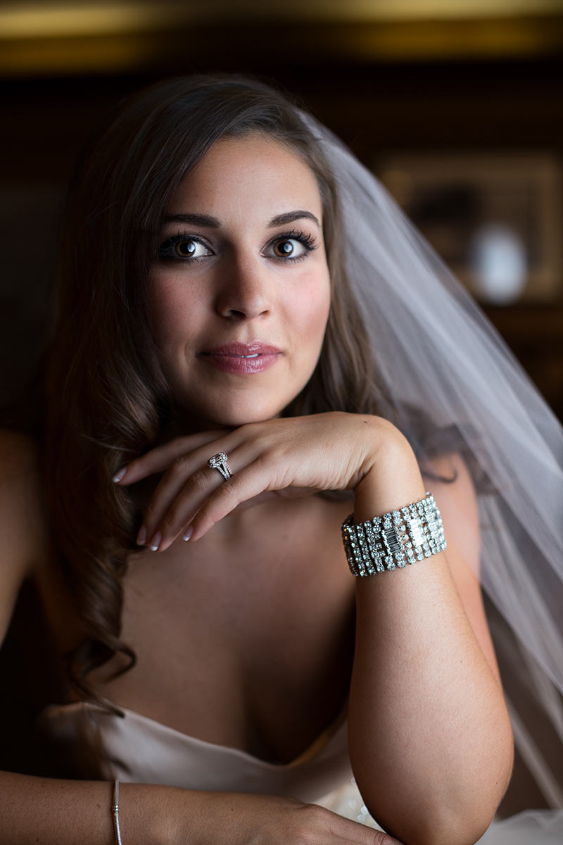 Beautiful Bridal Portrait Close Chicago — Wedding Photographer Pabst Photo 8885